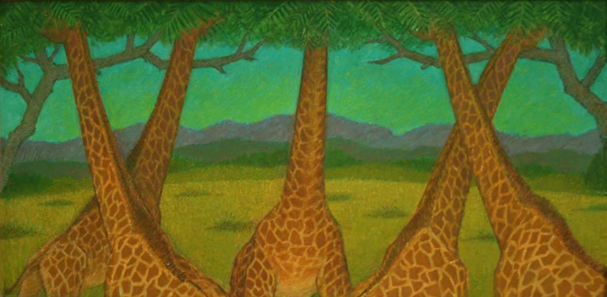 Giraffes